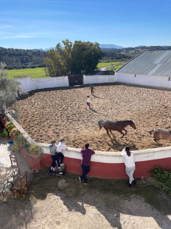 Casa Rural Finca De Las Encarnaciones Bajas Villanueva de San Juan Dış mekan fotoğraf