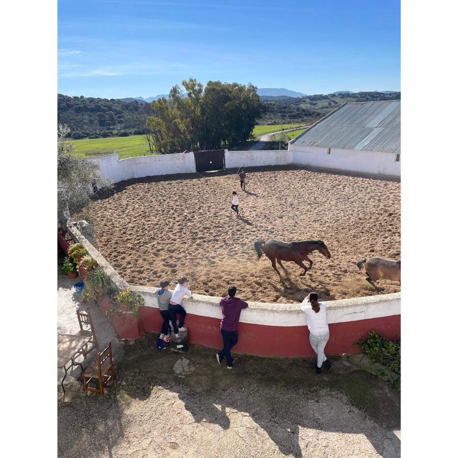 Casa Rural Finca De Las Encarnaciones Bajas Villanueva de San Juan Dış mekan fotoğraf