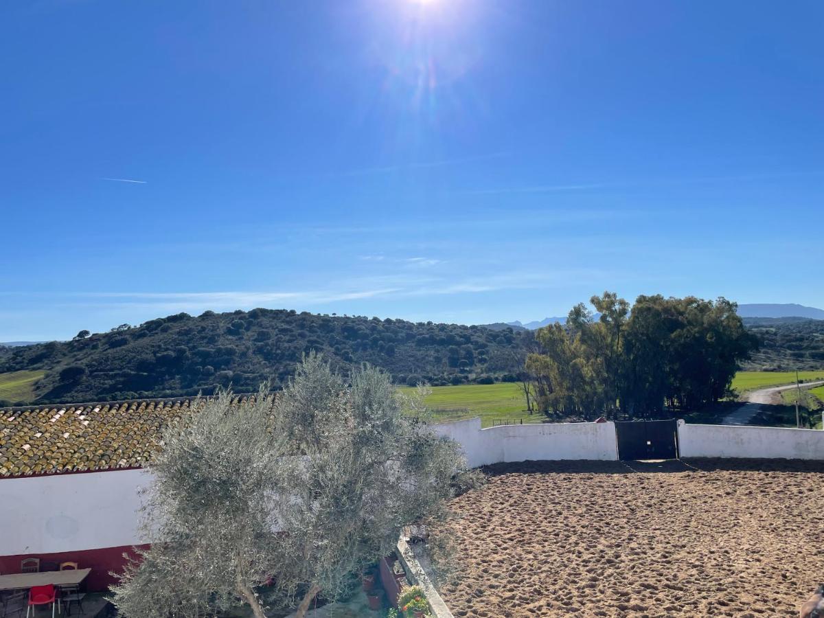 Casa Rural Finca De Las Encarnaciones Bajas Villanueva de San Juan Dış mekan fotoğraf