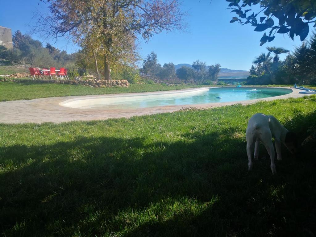 Casa Rural Finca De Las Encarnaciones Bajas Villanueva de San Juan Dış mekan fotoğraf