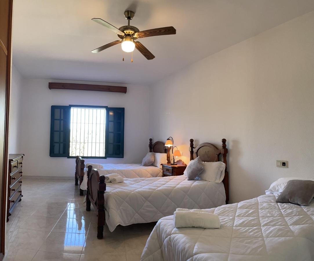 Casa Rural Finca De Las Encarnaciones Bajas Villanueva de San Juan Dış mekan fotoğraf